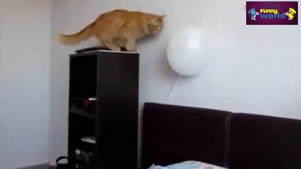 Компилация Смях - Funny Cats And Dogs Don't Want To Wake Up Compilation 2015