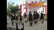 Фолклорен фестивал ''от Дунав до Балкана''(сезон 8) 173