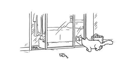 Mirror Mirror - Simon's Cat