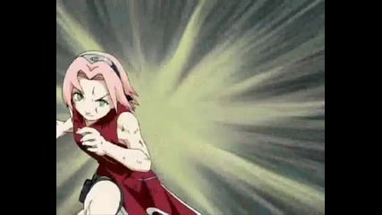 Team 7 tribute
