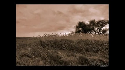 Richard Clayderman - Historia de un amor !