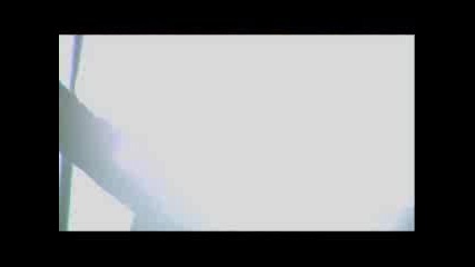 Lexter - Freedom To Love