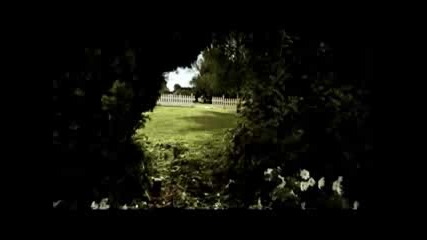 Lawn Mower - Viking