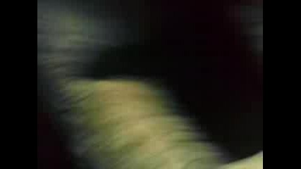 Pandiza