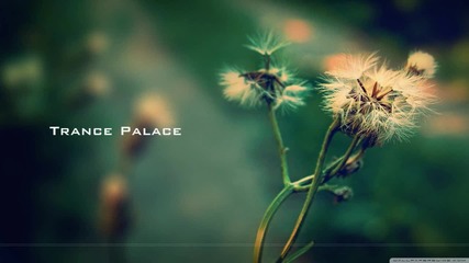 Dj Weela - Soul Echo(original Mix)