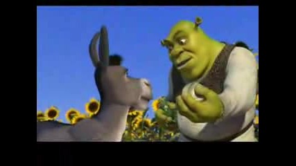 Shrek & Company