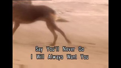 Paul Anka - Oh Carol