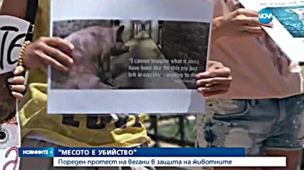 Вегани и вегетарианци отново излизат на протест