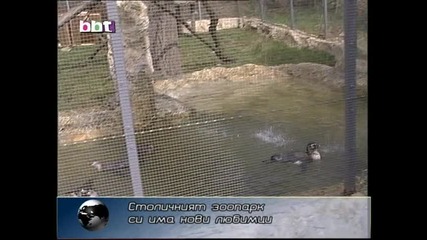Нoви любимци в зоопарка в София 