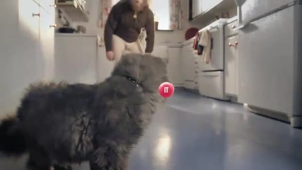Задръжте пръста си върху червената точка и изчакайте!