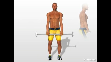 Exercise Neck .. !