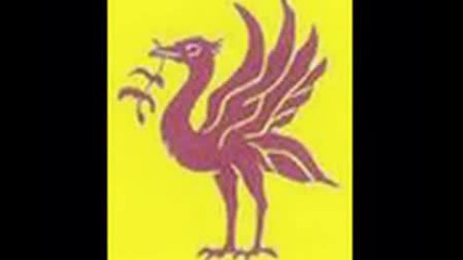 Liverbird upon my chest !