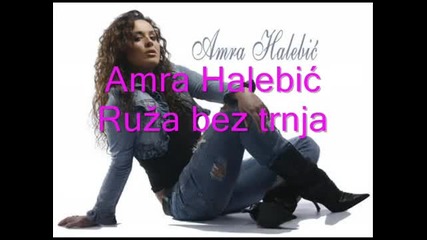 Amra Halebic-ruza bez trnja