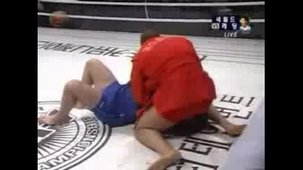 Fedor Emelianenko Vs Vladimir Voronov 