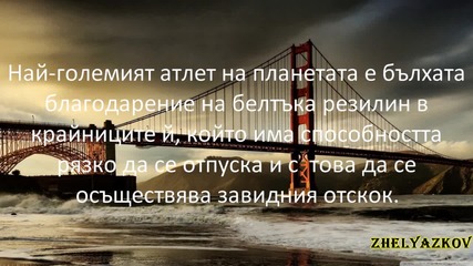 9 интересни факта,които може би не знаете!