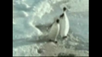 Така става като не гледаш къде вървиш !!!