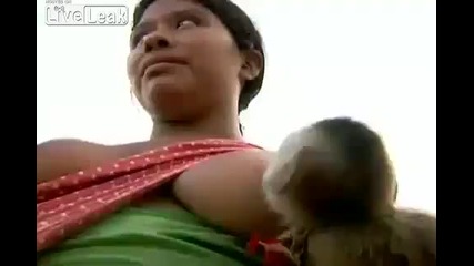 Жена кърми малко маймунче