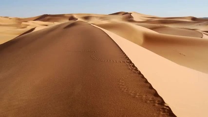 Perfect Stranger Zen Mechanics - Desert Session