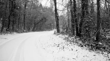 Rosemount Hill - Untitled