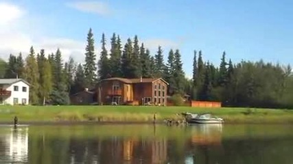 Каране на водни ски дърпан от кучета 