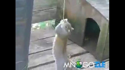 Риболов на катерици
