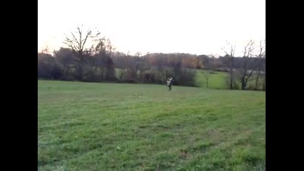 2004 rmz250 wheelie!!!! 