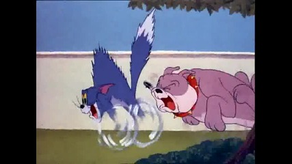 Tom and Jerry - Thats My Pup 