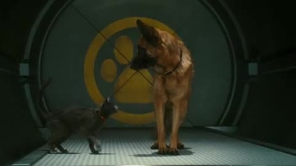 Cats and Dogs The Revenge of Kitty Galore Trailer Hd 