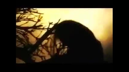 Shadows Fall - In Effigy (official Video) 