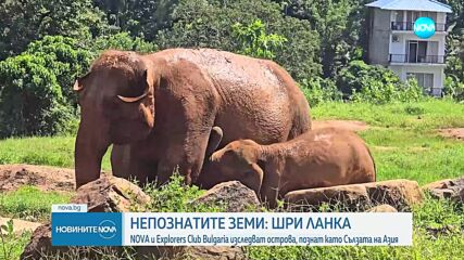 „Непознатите земи“: Шри Ланка - островът, познат като Сълзата на Азия (ВИДЕО)