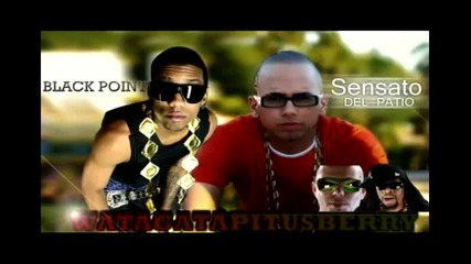 Del Patio Black Point ft Pitbuh Lil Jon - Watagatapitusberry Remix 