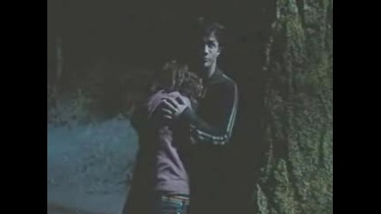 Hermiones Secret Part 7 Fanfic Story