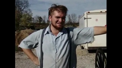 amish buggy accident