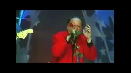 Сигнал - Бели Коне