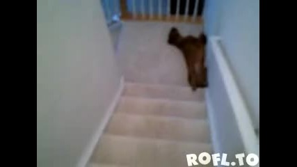 начин за слизане по стълби 
