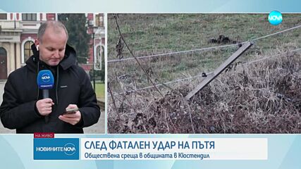 Организираха публичен дебат след инцидента с коне в Кюстендил