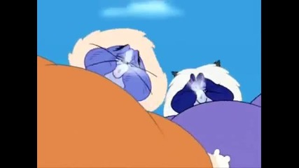 Tom and Jerry cartoons,