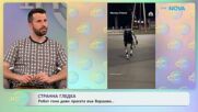 Робот гони диви прасета във Варшава | На кафе | 15 апр. 2026