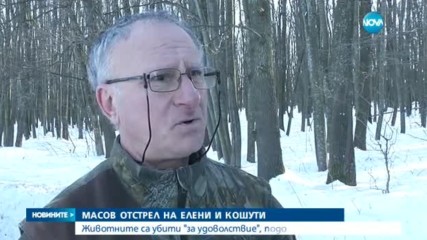 Новините на NOVA (31.01.2017 - късна)