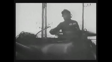 Tiger & Panther 10 