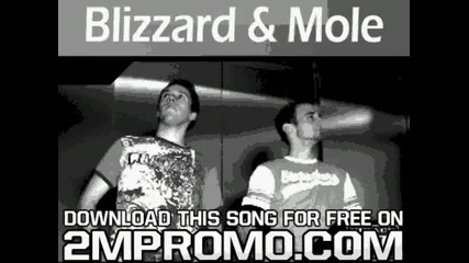 blizzard and mole - lost chronicle 2007 