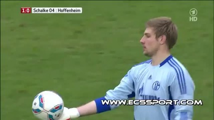 Schalke 04 - Hoffenheim 3-1
