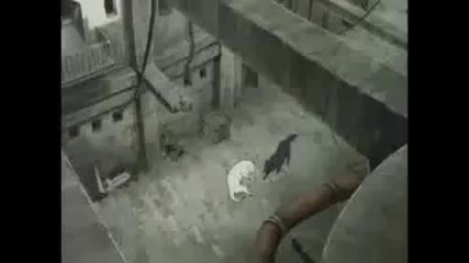 Wolfs Rain Episode 1 Part 2 - English