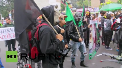 Colombia: Protesters march against bullfighting in Bogota