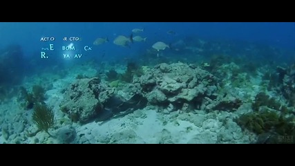 Идеално Качество Blue - Rehnuma