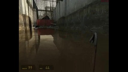 Half-life.2