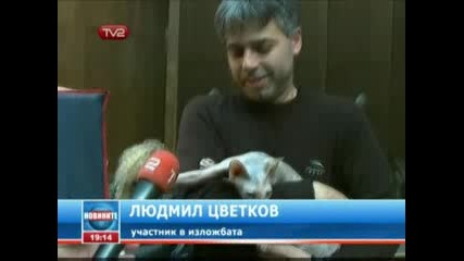 Изложби на Котенцаа