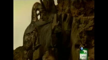 Dragons, A Fantasy Made Real - Part 4