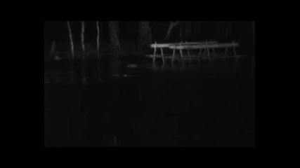 Shape of despair - In the mist