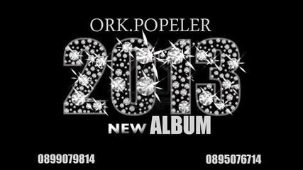 new ork. Popeler 2013 - 2 Diskoteka
